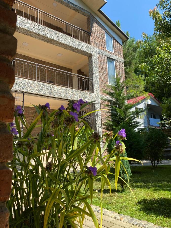 Guest House Shekvetili Экстерьер фото